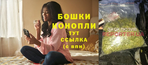 шишки Балахна