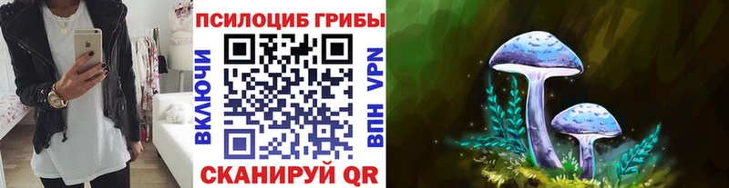KRAKEN как войти  Ершов  Псилоцибиновые грибы мухоморы  наркотики 
